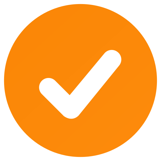 500+ Successful Projects Delivered
